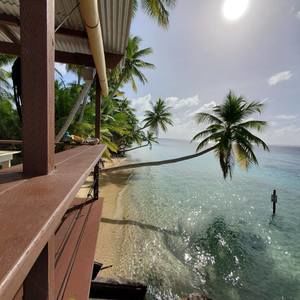 Meet your Posher, Trina